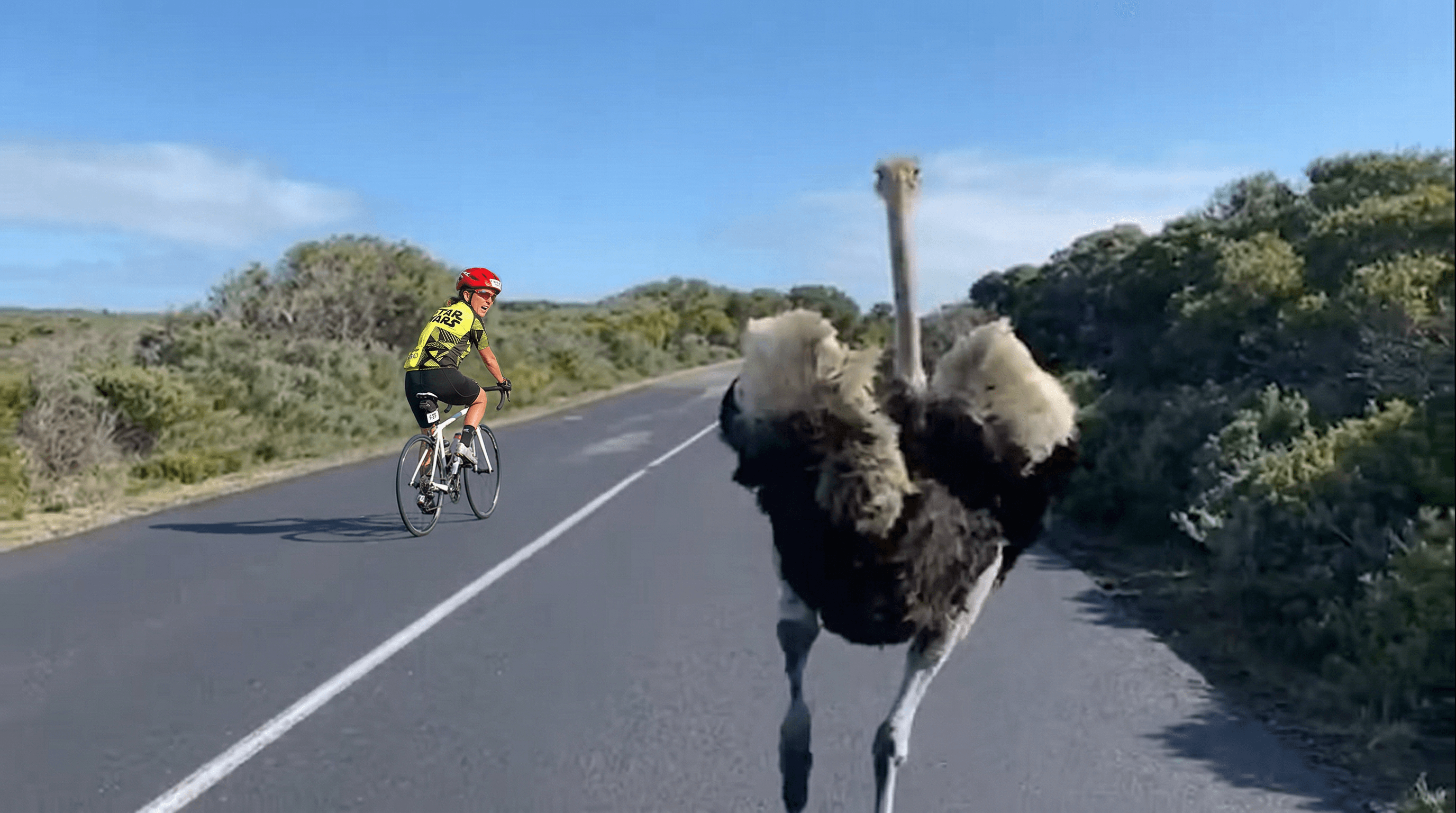 Article content image 1